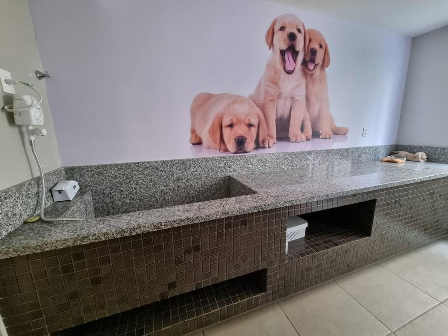 Confortavel Apto Inteiro No Coracao Do Tatuape Z/l Apartment